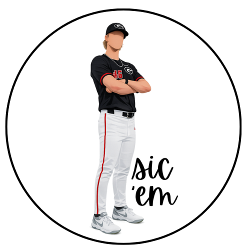 Sic Em Player Design